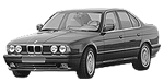 BMW E34 C250E Fault Code